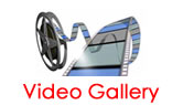 Video Gallery